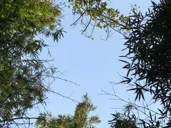 -西湖风景区十里琅珰-五云山