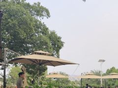 -蘇河湾·新鲁菜·泰山宴(泰山店)