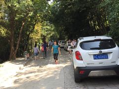 -紫金山天文台