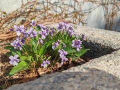 -四道口水产市场