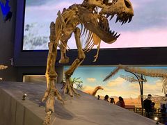 -贝林大翅鲸简餐厅(国家海洋博物馆店)