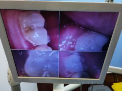 -南京医科大学友谊整形外科医院