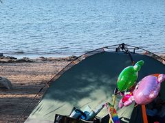 -长春市南湖公园