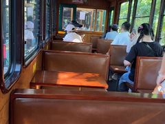 -合肥滨湖国家森林公园