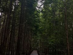 -桤木河湿地公园