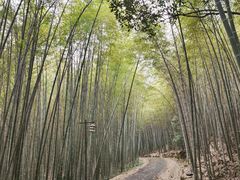-苏州环秀晓筑养生度假村