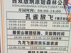 -西双版纳原始森林公园