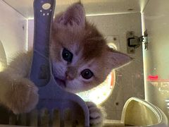 -万达广场(太原街店)