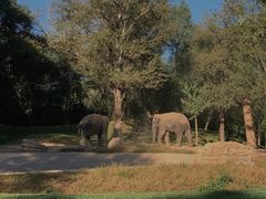 -北京野生动物园