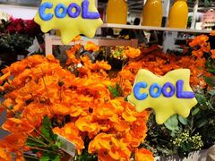 -宜家家居(高新商场店)