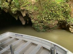 -怀托摩萤火虫洞