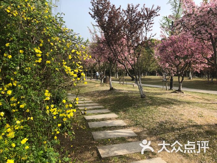 百花洲公园-景点图片-苏州周边游-大众点评网