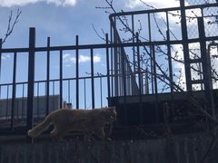 -北京湖广会馆