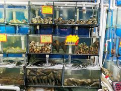 水产区-蚝专家(北滘店)