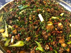 -铁山坪森林公园