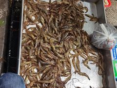 -西华肉菜市场(荔湾店)
