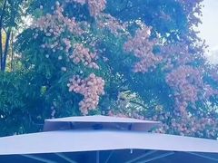 -西郊壹号