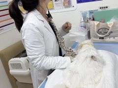 -美联众合动物医院·24h转诊中心
