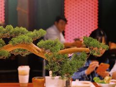 -肉魁屋·烧肉·烧鸟·酒场(高新店)