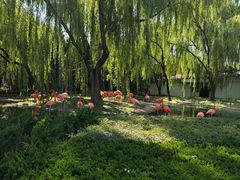 -石家庄市动物园