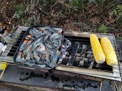 -吴淞炮台湾湿地森林公园烧烤区