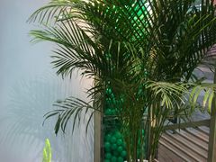 -柠季·手打柠檬茶(梅溪湖新天地外街店)