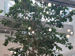 -大树餐厅(红旗街万达店)