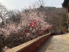 -天津盘山风景名胜区