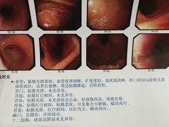 -无锡市第二人民医院(南院)