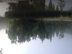 习家池-习家池