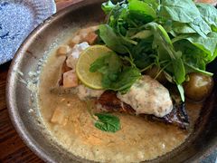 arctic char-Messinn