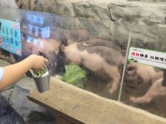 -正佳雨林生态植物园