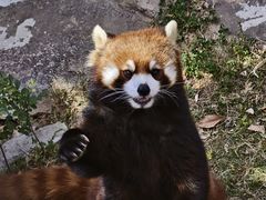 -南京金牛湖风景区