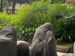 -青城道汤池