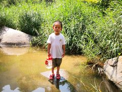 -碓臼峪自然风景区