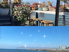 -野菌皇海景野生菌火锅(滨海大道店)