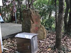 -上海佘山国家森林公园天马山园