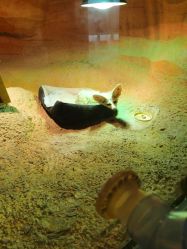 -酷嗒动物文化乐园(cutezoo西溪乐天城店)