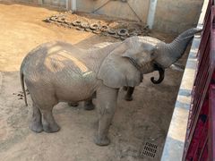 -西霞口神雕山野生动物世界