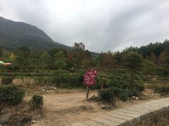 -塔川景区