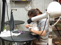 -PETKIT小佩宠物(昭化店)
