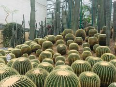 -南山植物园