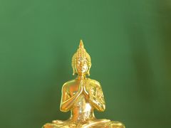 -泰古龙抓龙筋·spa按摩(浦东店)