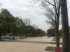 -新江湾城公园