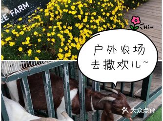 户外农场去撒欢儿~小蜜蜂农场等你呦！