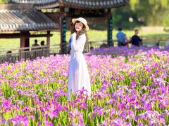 -龙头寺公园