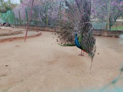 -武汉紫薇都市田园