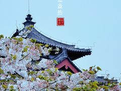 -西安青龙寺遗址景区