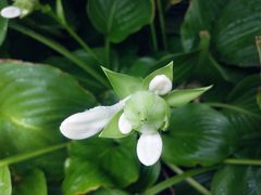 -北门涮肉·炭火铜锅涮肉(什刹海店)