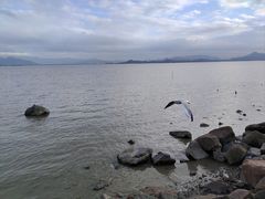 -深圳湾公园(南山区)